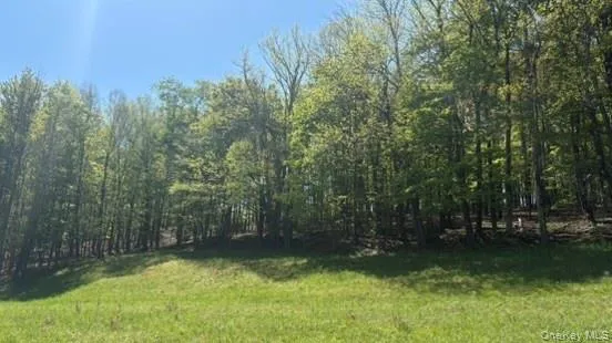 52 Hill Road, Liberty, NY, ,Land,For Rent,Hill,0,999834 52 Hill Road, Liberty, NY, ,Land,For Rent,Hill,0,999834