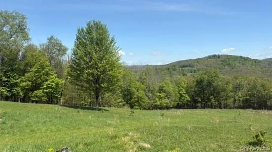 52 Hill Road, Liberty, NY, ,Land,For Rent,Hill,0,999834 52 Hill Road, Liberty, NY, ,Land,For Rent,Hill,0,999834