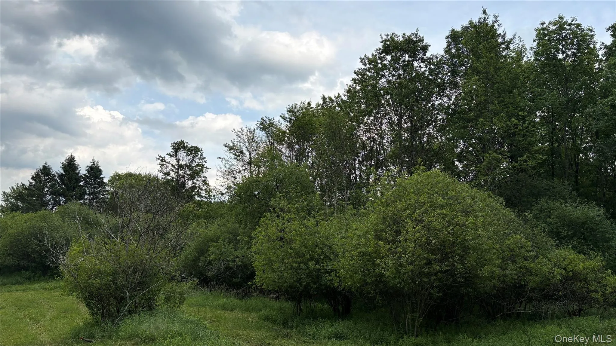 52 Hill Road, Liberty, NY, ,Land,For Rent,Hill,0,999834 52 Hill Road, Liberty, NY, ,Land,For Rent,Hill,0,999834