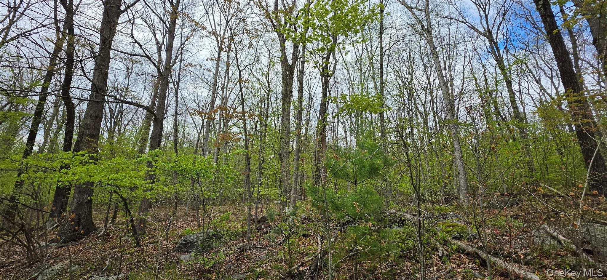 Lot 23.21 State Route 97, Tusten, NY, ,Land,For Rent,State Route 97,0,999844 Lot 23.21 State Route 97, Tusten, NY, ,Land,For Rent,State Route 97,0,999844