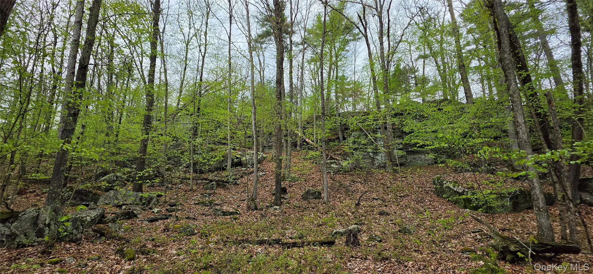 Lot 23.21 State Route 97, Tusten, NY, ,Land,For Rent,State Route 97,0,999844 Lot 23.21 State Route 97, Tusten, NY, ,Land,For Rent,State Route 97,0,999844