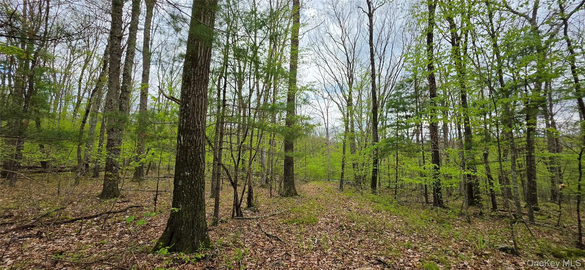 Lot 23.21 State Route 97, Tusten, NY, ,Land,For Rent,State Route 97,0,999844 Lot 23.21 State Route 97, Tusten, NY, ,Land,For Rent,State Route 97,0,999844