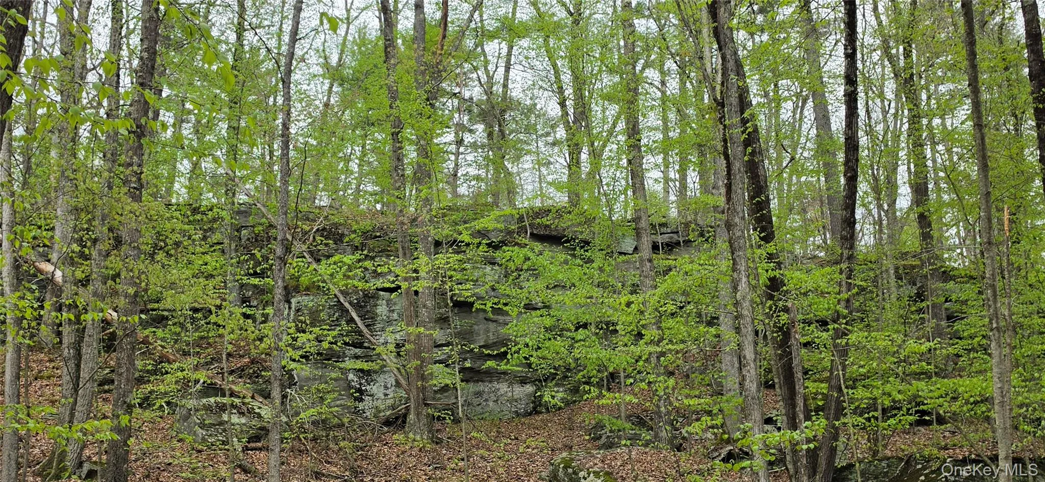 rock outcropping rock outcropping