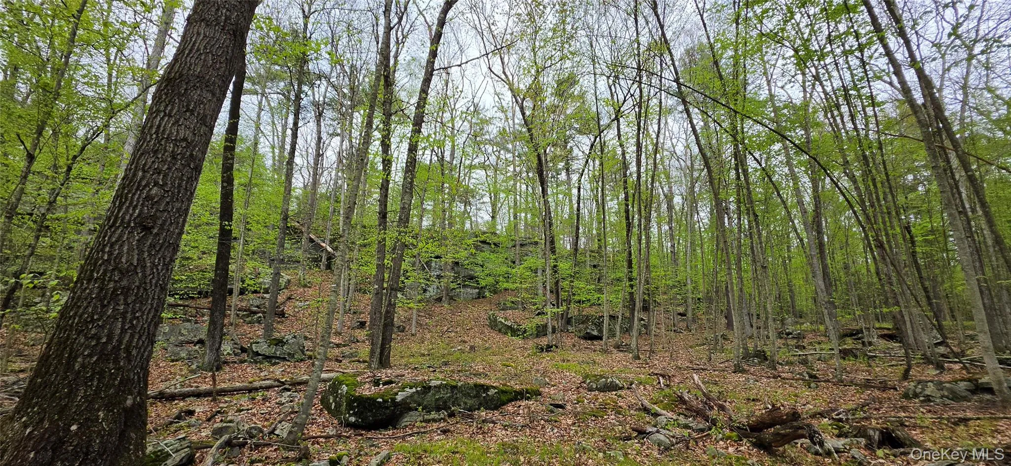 Lot 23.21 State Route 97, Tusten, NY, ,Land,For Rent,State Route 97,0,999844 Lot 23.21 State Route 97, Tusten, NY, ,Land,For Rent,State Route 97,0,999844