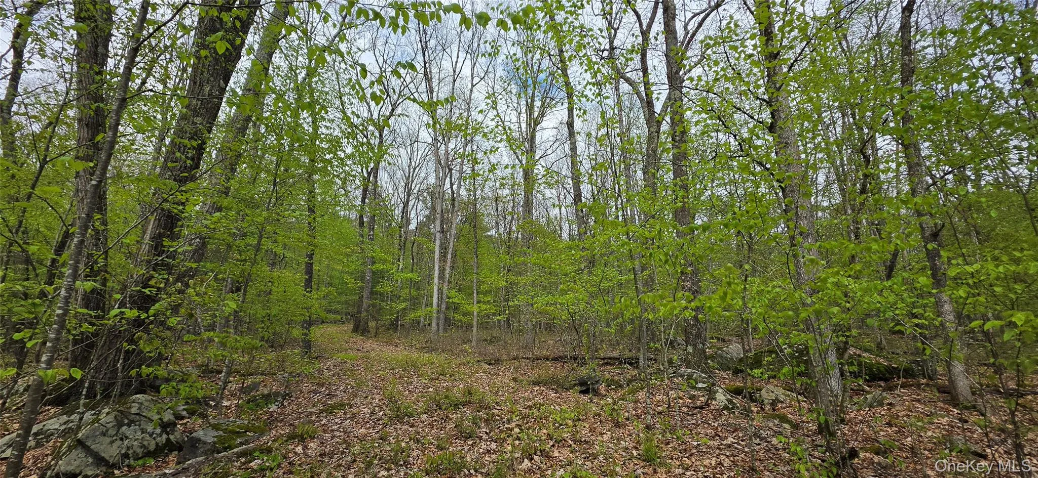 Lot 23.21 State Route 97, Tusten, NY, ,Land,For Rent,State Route 97,0,999844 Lot 23.21 State Route 97, Tusten, NY, ,Land,For Rent,State Route 97,0,999844