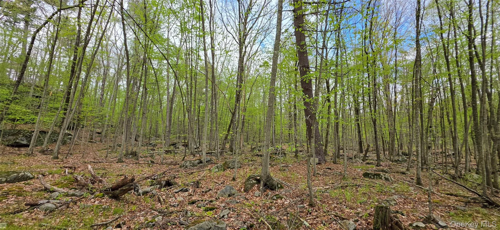 Lot 23.21 State Route 97, Tusten, NY, ,Land,For Rent,State Route 97,0,999844 Lot 23.21 State Route 97, Tusten, NY, ,Land,For Rent,State Route 97,0,999844