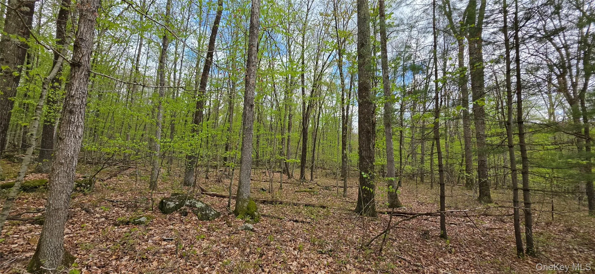Lot 23.21 State Route 97, Tusten, NY, ,Land,For Rent,State Route 97,0,999844 Lot 23.21 State Route 97, Tusten, NY, ,Land,For Rent,State Route 97,0,999844
