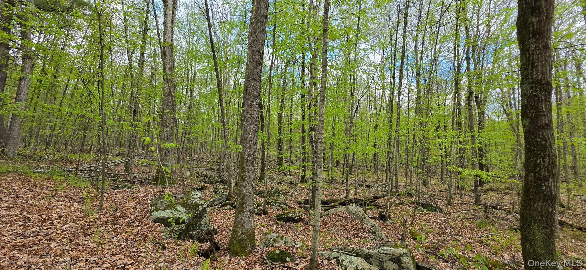 Lot 23.21 State Route 97, Tusten, NY, ,Land,For Rent,State Route 97,0,999844 Lot 23.21 State Route 97, Tusten, NY, ,Land,For Rent,State Route 97,0,999844