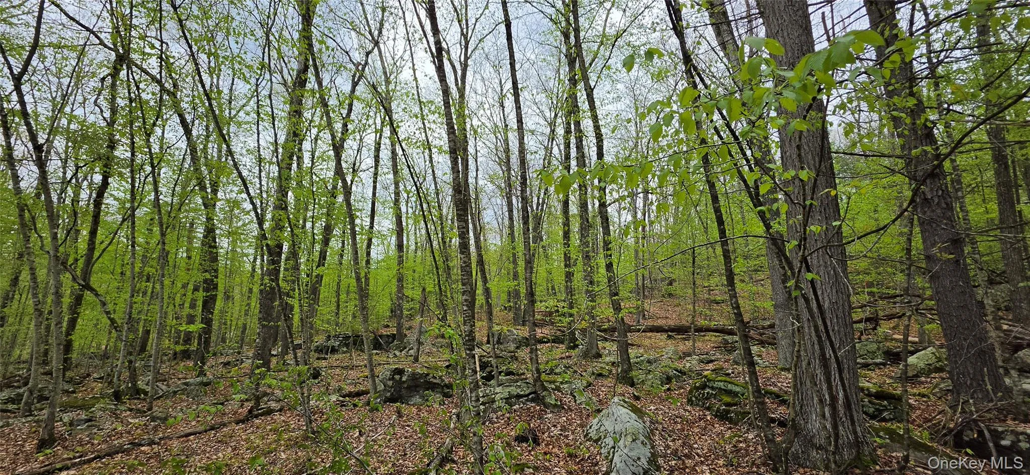Lot 23.21 State Route 97, Tusten, NY, ,Land,For Rent,State Route 97,0,999844 Lot 23.21 State Route 97, Tusten, NY, ,Land,For Rent,State Route 97,0,999844