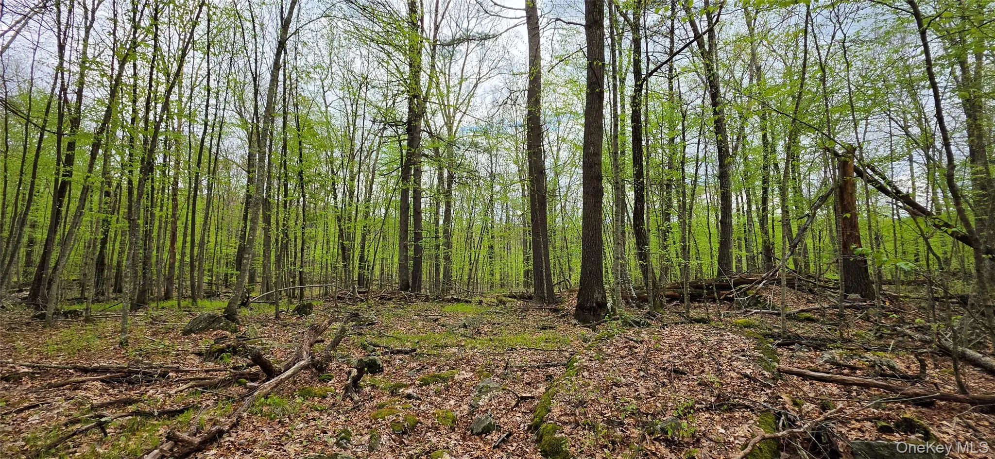 Lot 23.21 State Route 97, Tusten, NY, ,Land,For Rent,State Route 97,0,999844 Lot 23.21 State Route 97, Tusten, NY, ,Land,For Rent,State Route 97,0,999844
