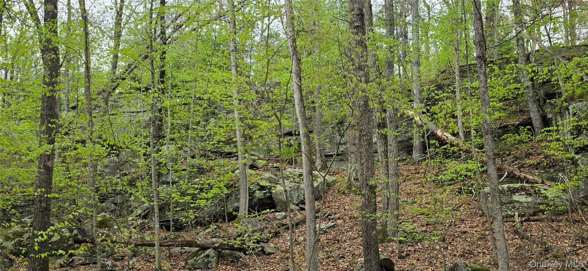 Lot 23.21 State Route 97, Tusten, NY, ,Land,For Rent,State Route 97,0,999844 Lot 23.21 State Route 97, Tusten, NY, ,Land,For Rent,State Route 97,0,999844