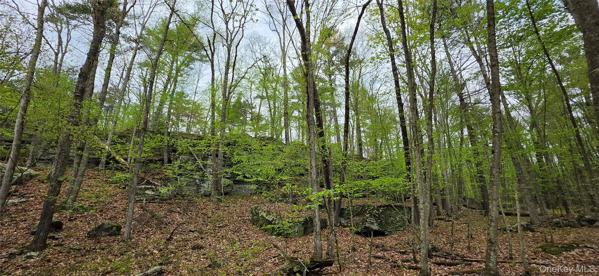 rock outcropping rock outcropping