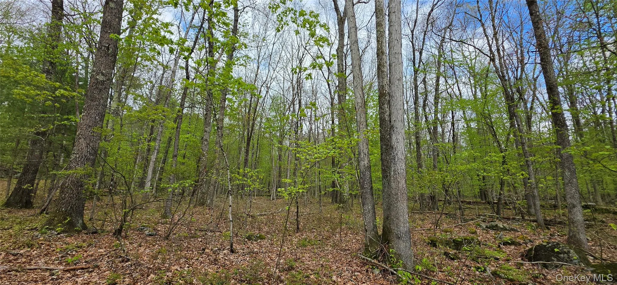 Lot 23.21 State Route 97, Tusten, NY, ,Land,For Rent,State Route 97,0,999844 Lot 23.21 State Route 97, Tusten, NY, ,Land,For Rent,State Route 97,0,999844