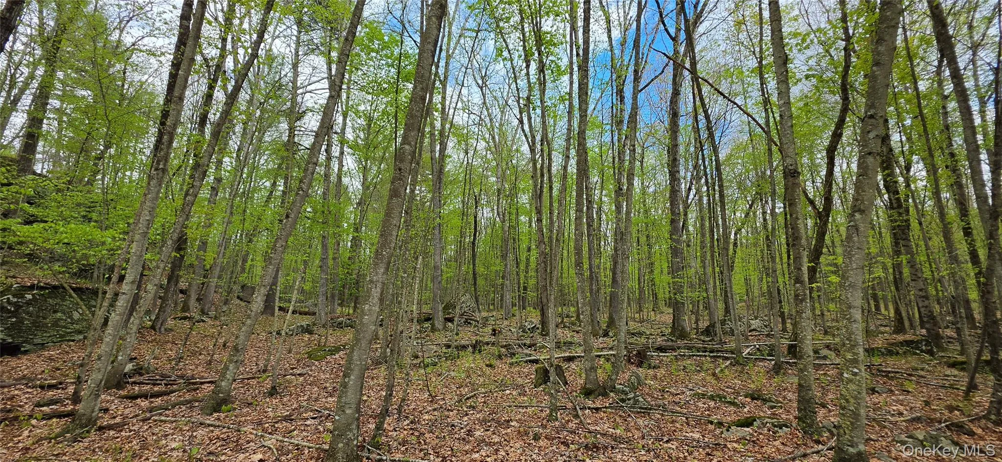 Lot 23.21 State Route 97, Tusten, NY, ,Land,For Rent,State Route 97,0,999844 Lot 23.21 State Route 97, Tusten, NY, ,Land,For Rent,State Route 97,0,999844