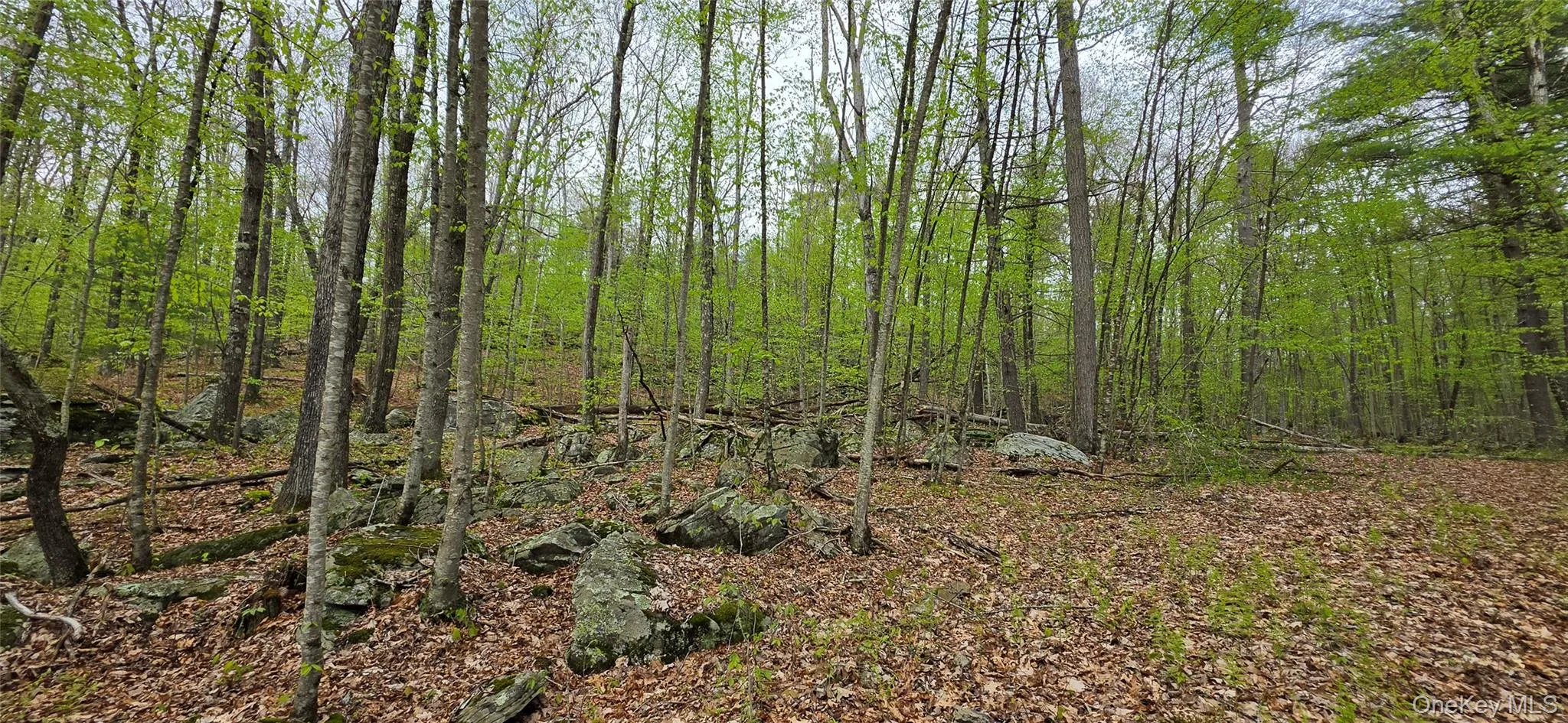 Lot 23.21 State Route 97, Tusten, NY, ,Land,For Rent,State Route 97,0,999844 Lot 23.21 State Route 97, Tusten, NY, ,Land,For Rent,State Route 97,0,999844