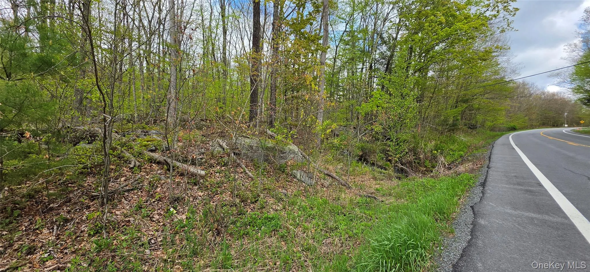 Lot 23.21 State Route 97, Tusten, NY, ,Land,For Rent,State Route 97,0,999844 Lot 23.21 State Route 97, Tusten, NY, ,Land,For Rent,State Route 97,0,999844