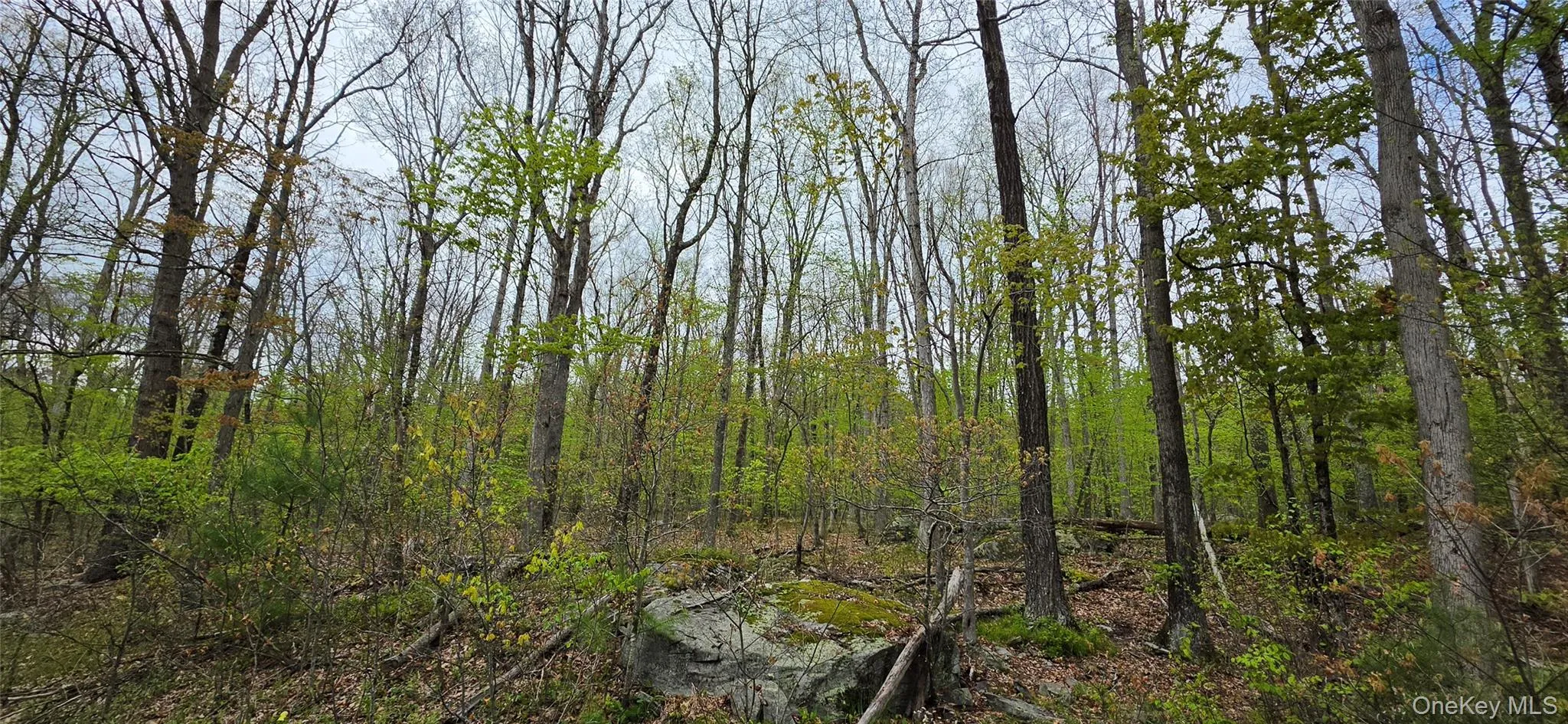 Lot 23.21 State Route 97, Tusten, NY, ,Land,For Rent,State Route 97,0,999844 Lot 23.21 State Route 97, Tusten, NY, ,Land,For Rent,State Route 97,0,999844