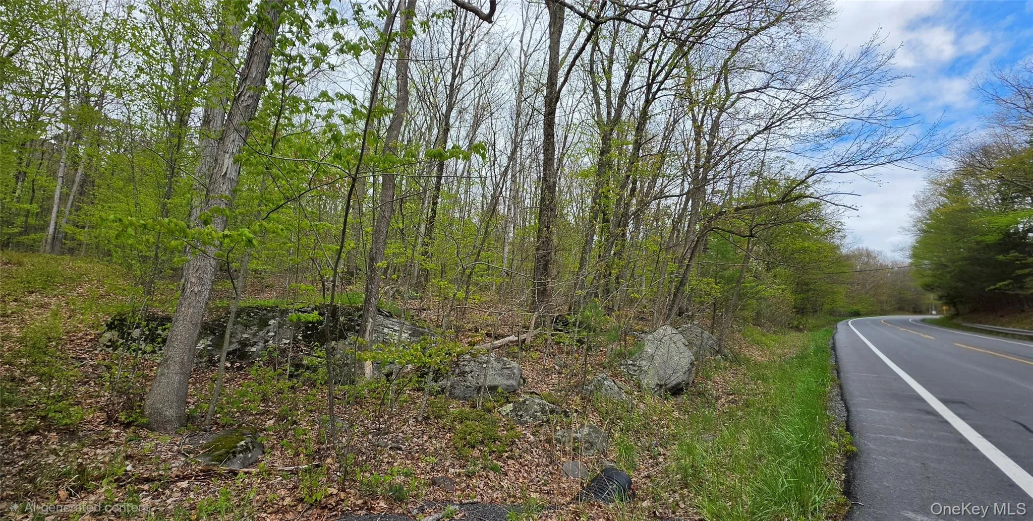 Lot 23.21 State Route 97, Tusten, NY, ,Land,For Rent,State Route 97,0,999844 Lot 23.21 State Route 97, Tusten, NY, ,Land,For Rent,State Route 97,0,999844