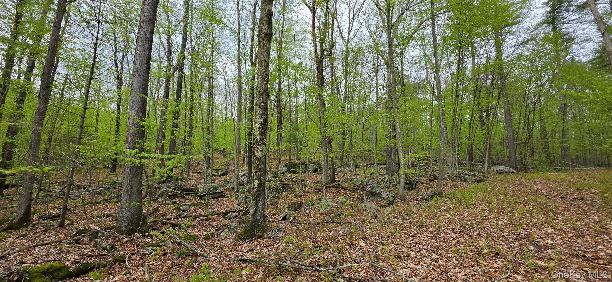 Lot 23.21 State Route 97, Tusten, NY, ,Land,For Rent,State Route 97,0,999844 Lot 23.21 State Route 97, Tusten, NY, ,Land,For Rent,State Route 97,0,999844