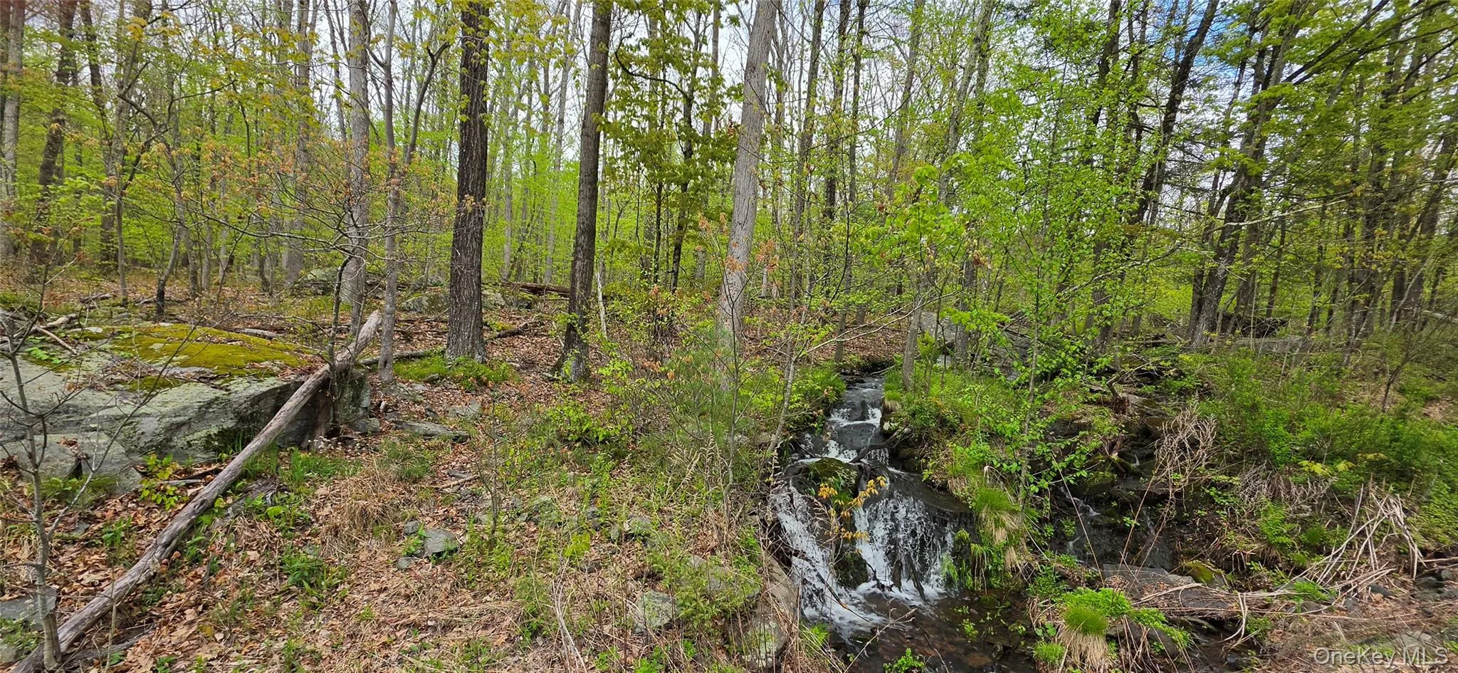 Lot 23.21 State Route 97, Tusten, NY, ,Land,For Rent,State Route 97,0,999844 Lot 23.21 State Route 97, Tusten, NY, ,Land,For Rent,State Route 97,0,999844