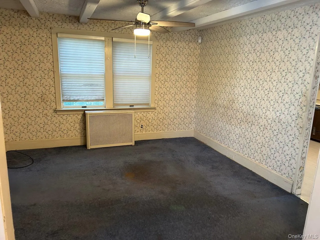 9 Prospect Avenue, Hempstead, NY, 4 Bedrooms Bedrooms, 8 Rooms Rooms,2 BathroomsBathrooms,Residential,For Rent,Prospect,0,999869 9 Prospect Avenue, Hempstead, NY, 4 Bedrooms Bedrooms, 8 Rooms Rooms,2 BathroomsBathrooms,Residential,For Rent,Prospect,0,999869