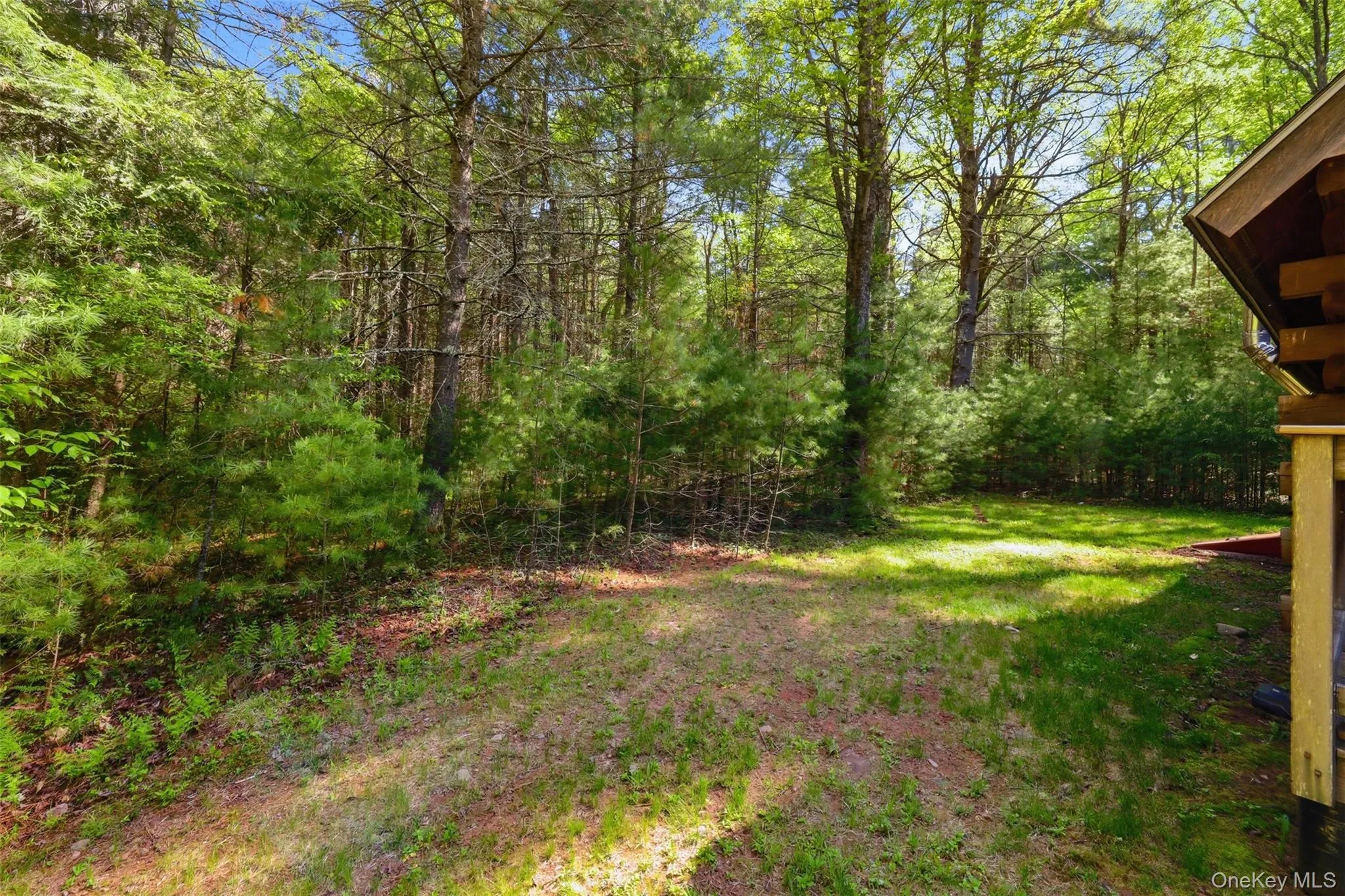Private 4 acres Private 4 acres