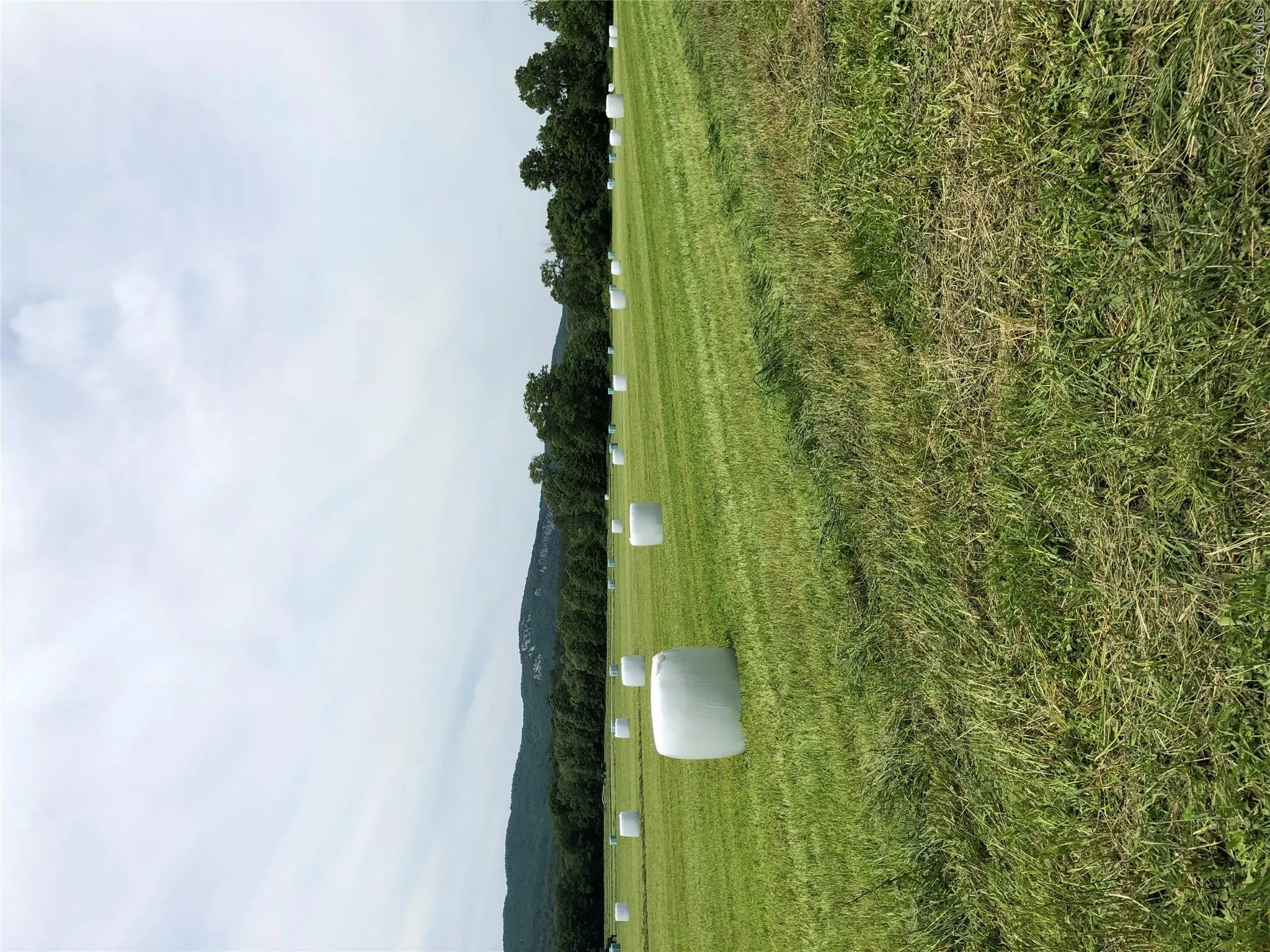 181 Huguenot Street, New Paltz, NY, ,Land,For Rent,Huguenot,0,999912 181 Huguenot Street, New Paltz, NY, ,Land,For Rent,Huguenot,0,999912