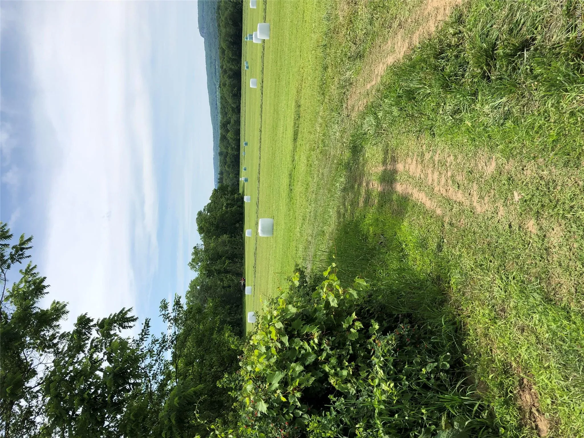 181 Huguenot Street, New Paltz, NY, ,Land,For Rent,Huguenot,0,999912 181 Huguenot Street, New Paltz, NY, ,Land,For Rent,Huguenot,0,999912