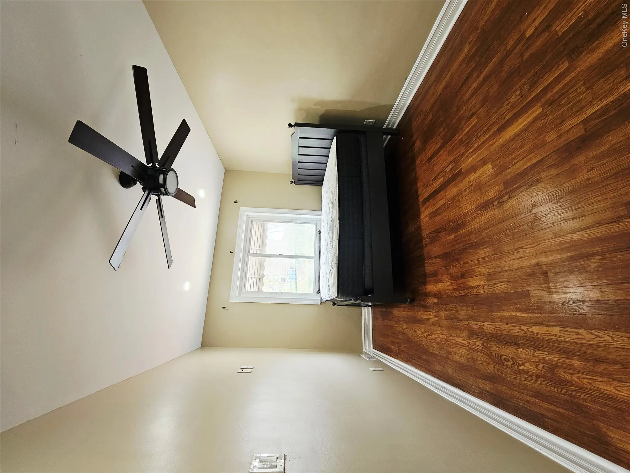 2082 Pitman Avenue, New York, NY, 3 Bedrooms Bedrooms, 7 Rooms Rooms,1 BathroomBathrooms,Residential Lease,For Rent,Pitman,0,999925 2082 Pitman Avenue, New York, NY, 3 Bedrooms Bedrooms, 7 Rooms Rooms,1 BathroomBathrooms,Residential Lease,For Rent,Pitman,0,999925
