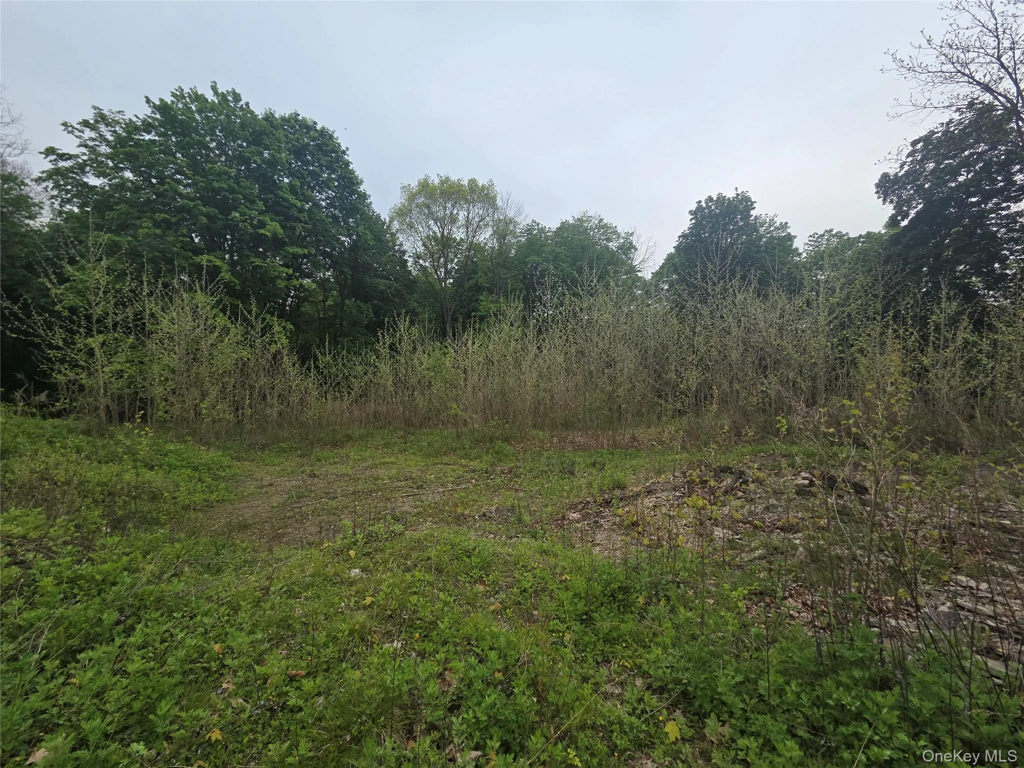 10 Thorns Lane, Lloyd, NY, ,Land,For Rent,Thorns,0,999942 10 Thorns Lane, Lloyd, NY, ,Land,For Rent,Thorns,0,999942