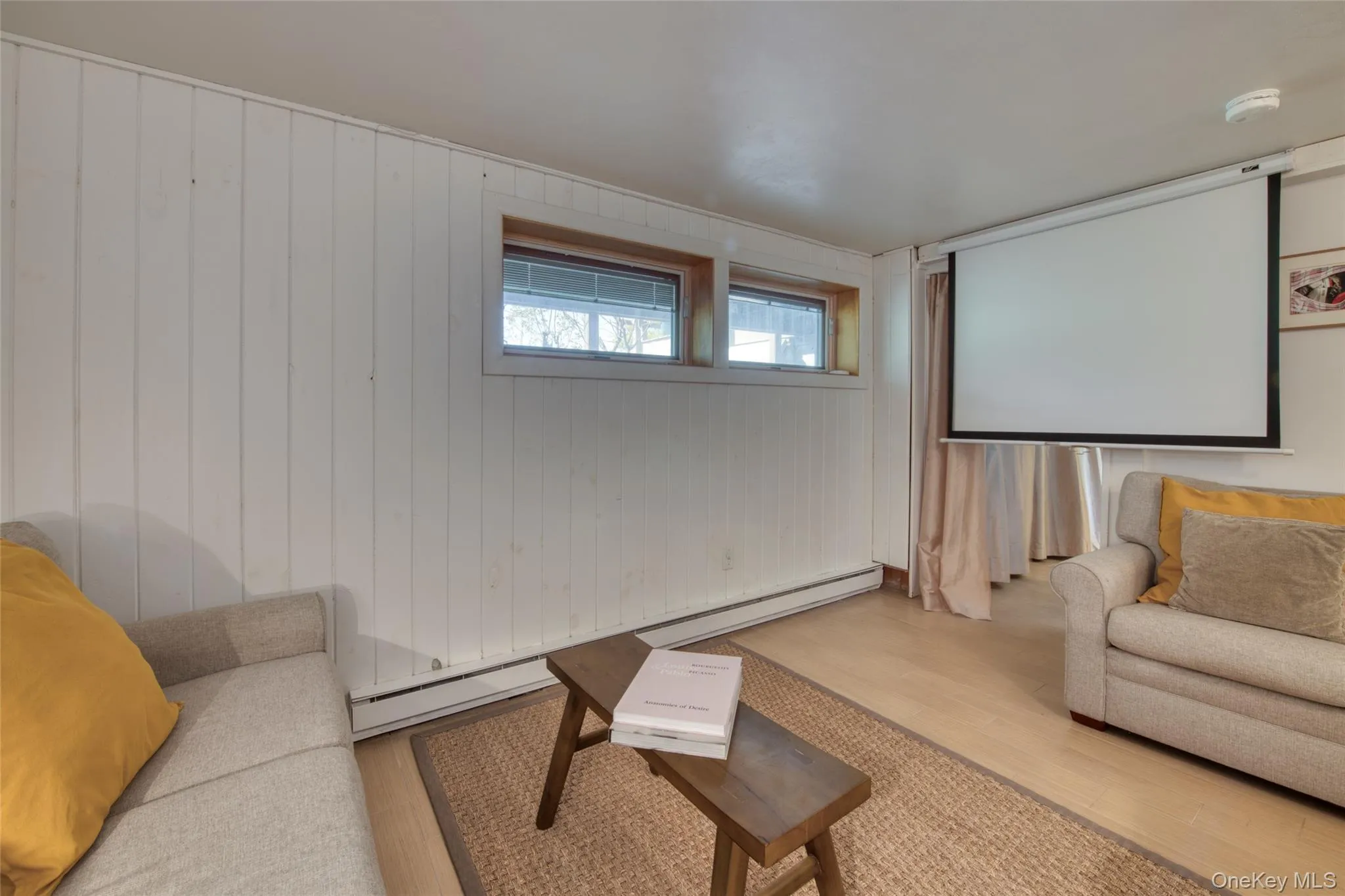 Garden level screening room Garden level screening room