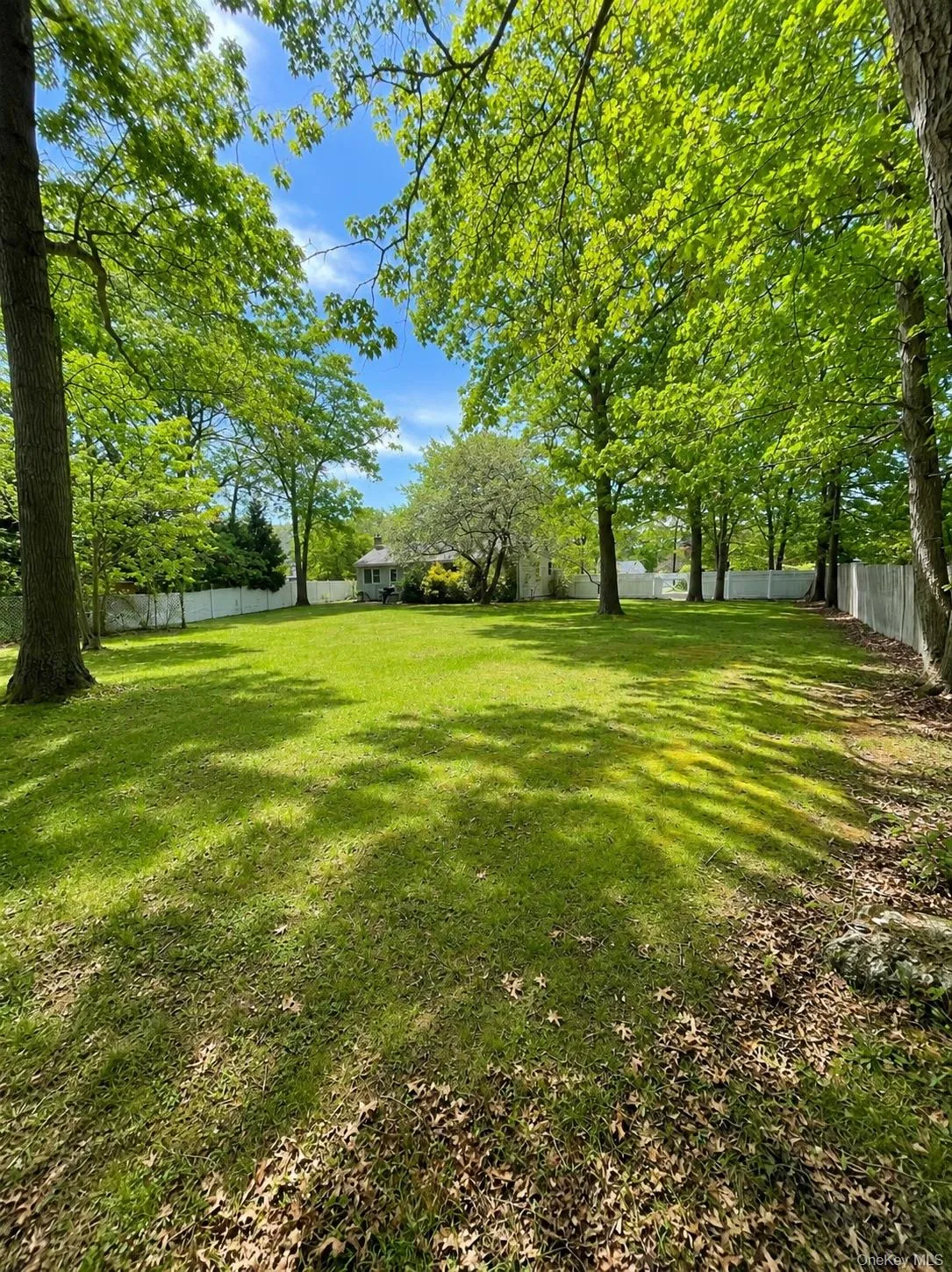 43 Morris Avenue, Brookhaven, NY, 3 Bedrooms Bedrooms, 6 Rooms Rooms,1 BathroomBathrooms,Residential Sale,For Rent,Morris,0,999985 43 Morris Avenue, Brookhaven, NY, 3 Bedrooms Bedrooms, 6 Rooms Rooms,1 BathroomBathrooms,Residential Sale,For Rent,Morris,0,999985