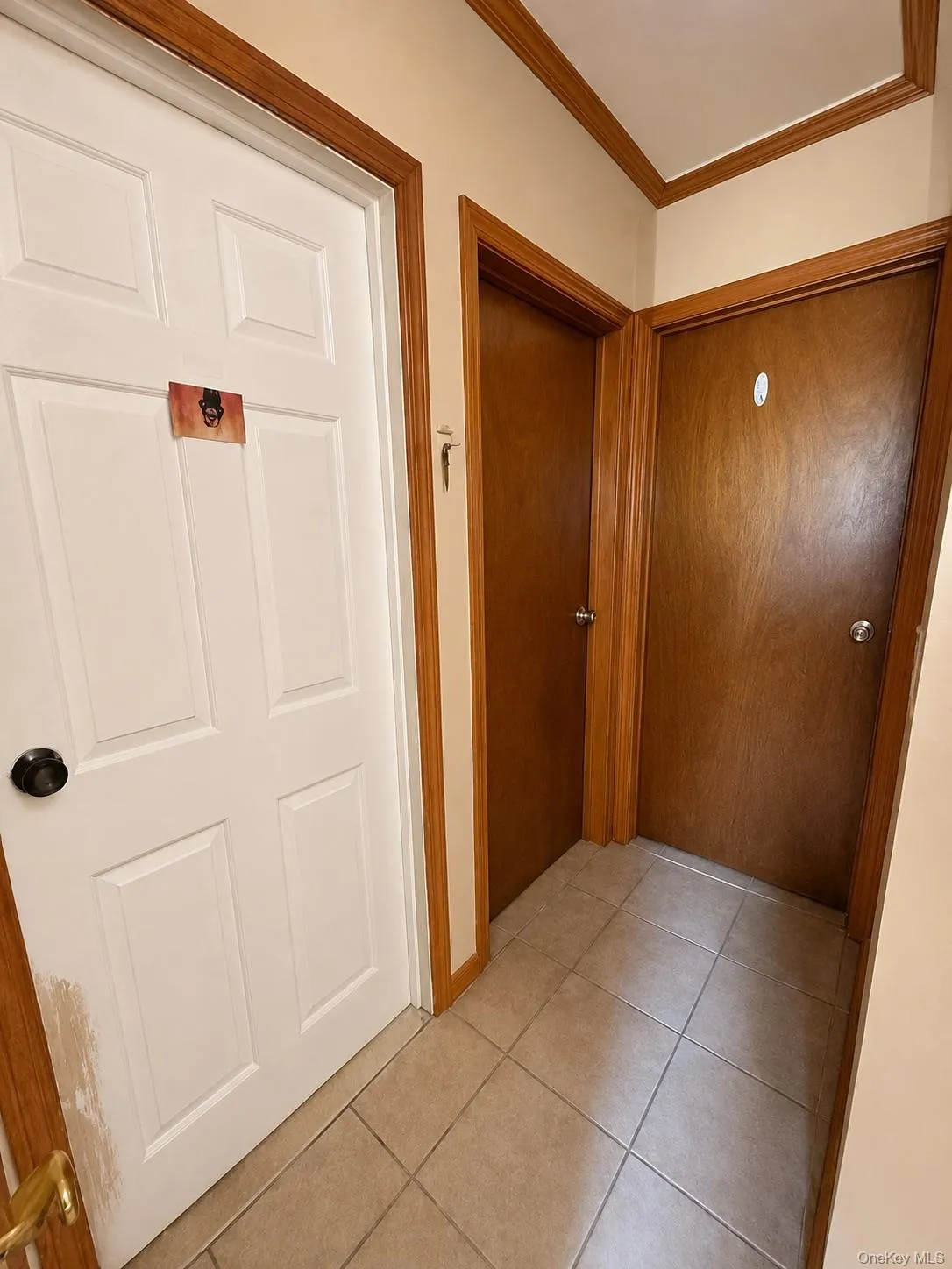 43 Morris Avenue, Brookhaven, NY, 3 Bedrooms Bedrooms, 6 Rooms Rooms,1 BathroomBathrooms,Residential Sale,For Rent,Morris,0,999985 43 Morris Avenue, Brookhaven, NY, 3 Bedrooms Bedrooms, 6 Rooms Rooms,1 BathroomBathrooms,Residential Sale,For Rent,Morris,0,999985