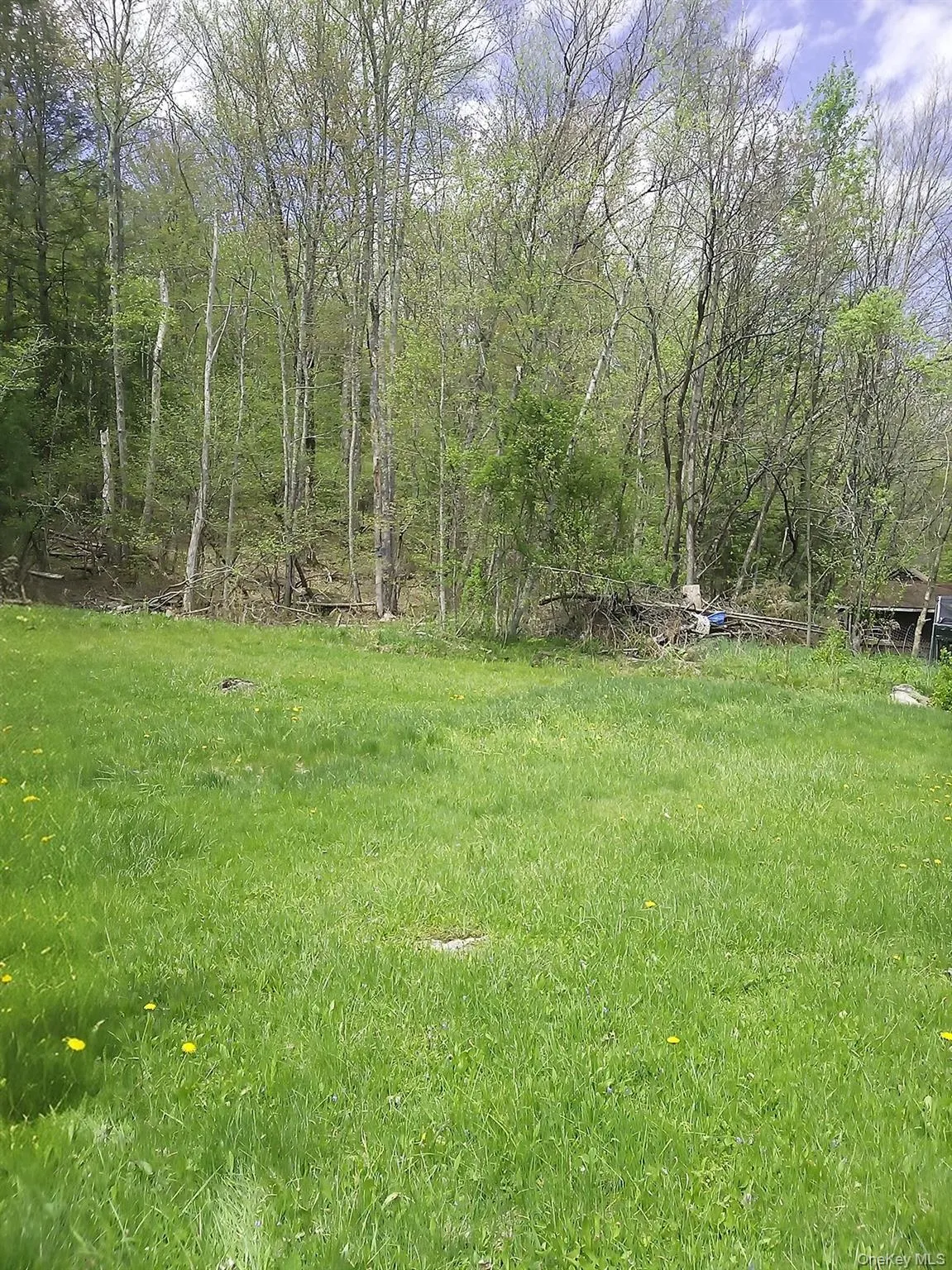 Backyard Backyard