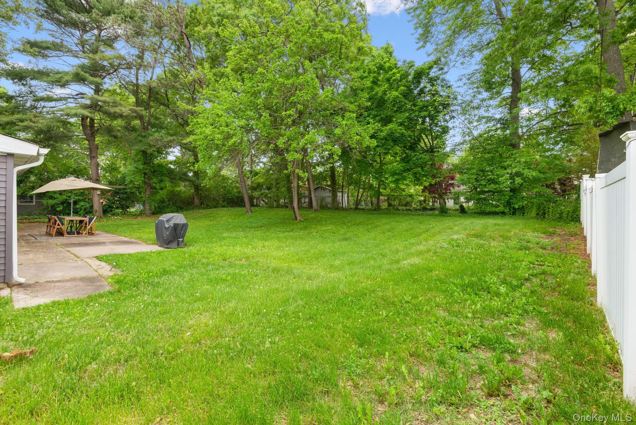 Spacious backyard with a concrete patio, privacy fencing, and mature trees Spacious backyard with a concrete patio, privacy fencing, and mature trees