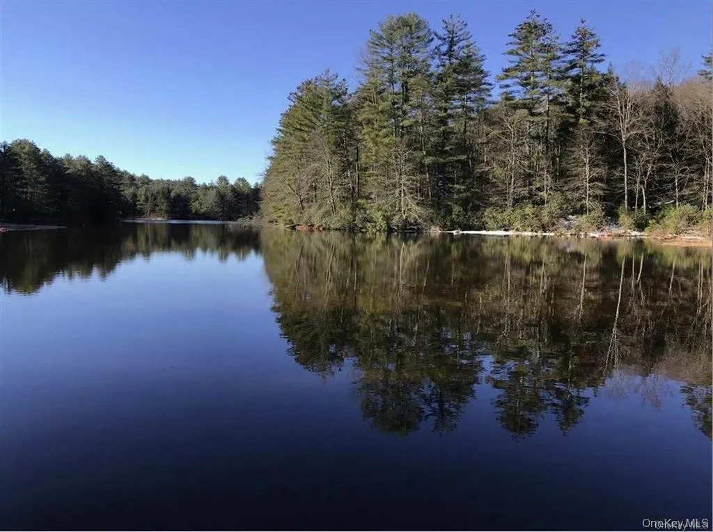 Lot 92 Mathias Weiden Drive, Tusten, NY, ,Land,For Rent,Mathias Weiden,0,000047 Lot 92 Mathias Weiden Drive, Tusten, NY, ,Land,For Rent,Mathias Weiden,0,000047