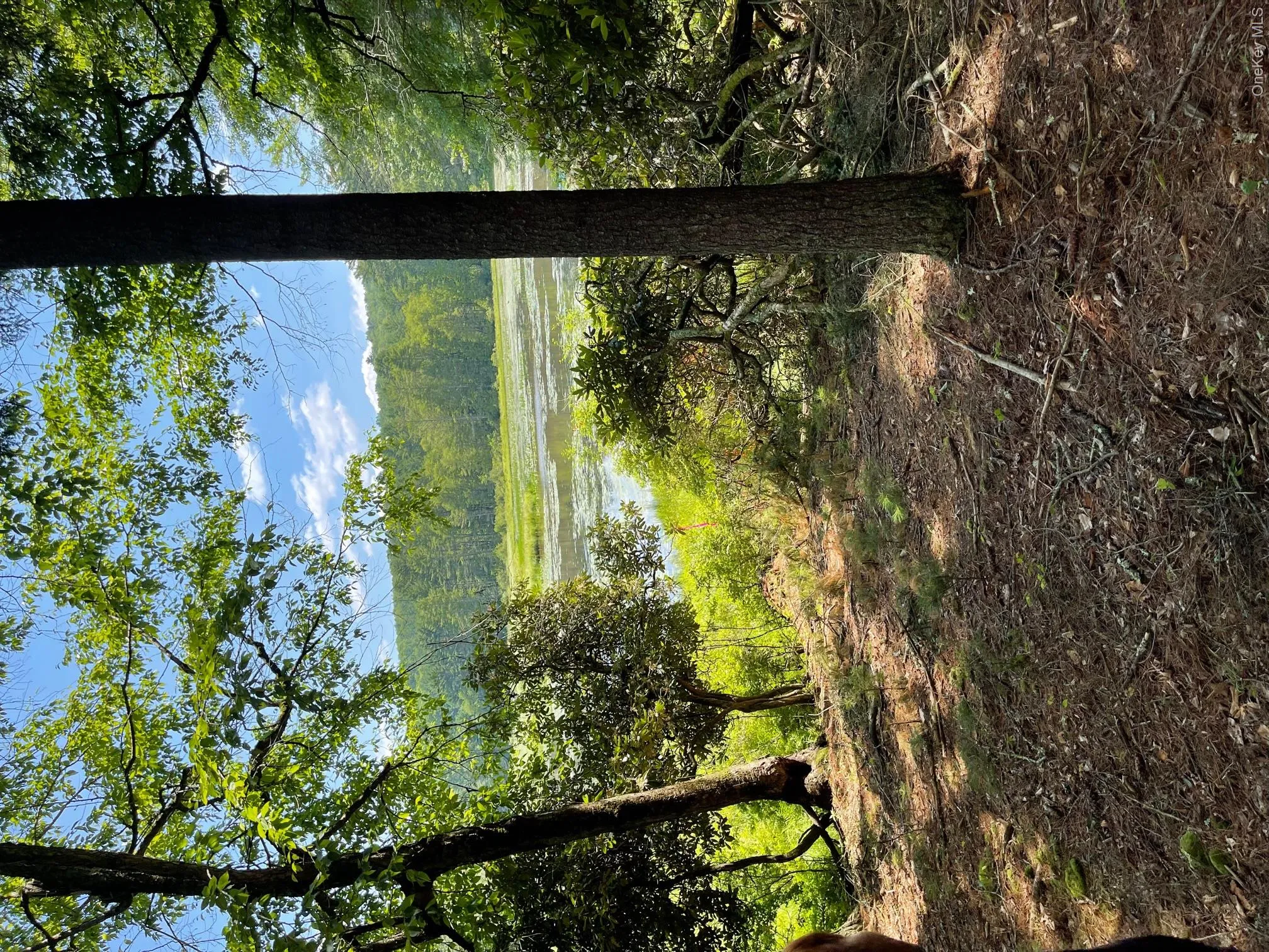 Lot 92 Mathias Weiden Drive, Tusten, NY, ,Land,For Rent,Mathias Weiden,0,000047 Lot 92 Mathias Weiden Drive, Tusten, NY, ,Land,For Rent,Mathias Weiden,0,000047
