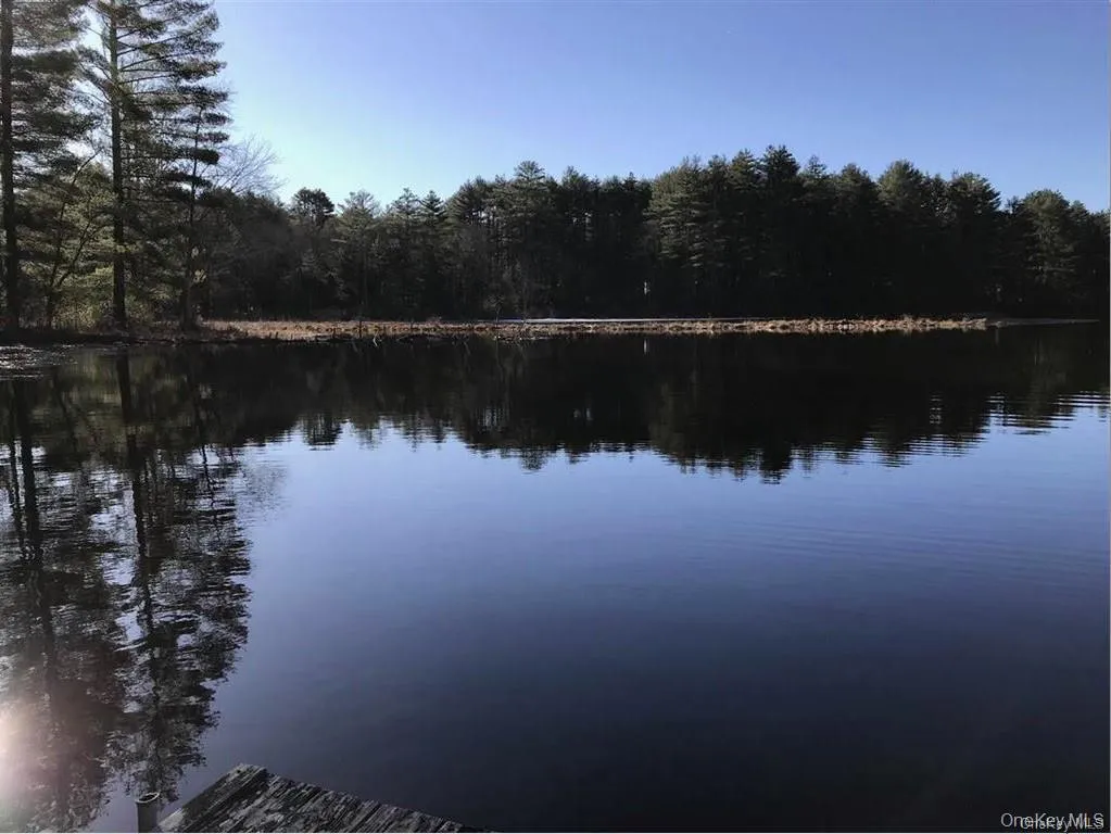 Lot 92 Mathias Weiden Drive, Tusten, NY, ,Land,For Rent,Mathias Weiden,0,000047 Lot 92 Mathias Weiden Drive, Tusten, NY, ,Land,For Rent,Mathias Weiden,0,000047