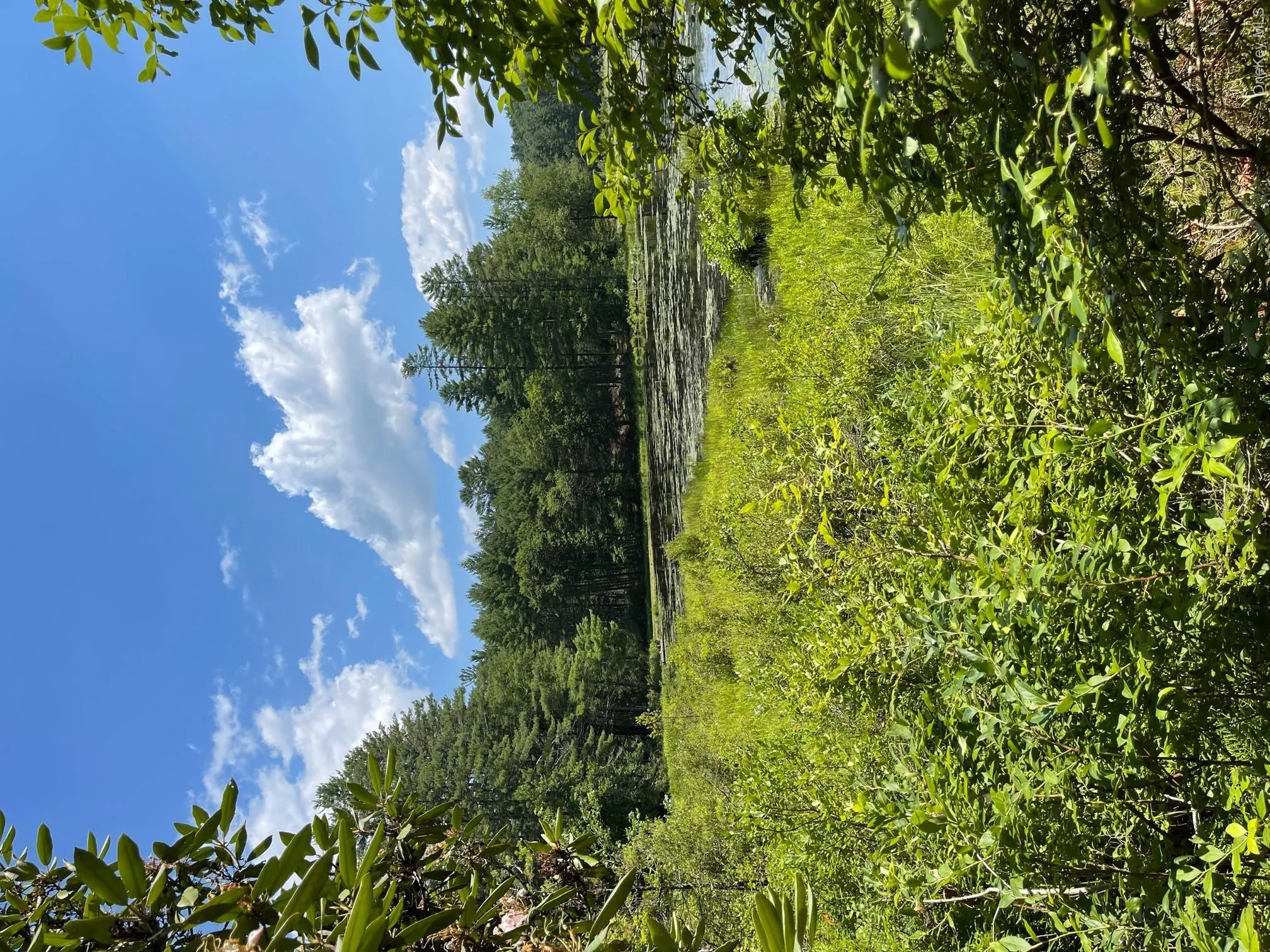 Lot 92 Mathias Weiden Drive, Tusten, NY, ,Land,For Rent,Mathias Weiden,0,000047 Lot 92 Mathias Weiden Drive, Tusten, NY, ,Land,For Rent,Mathias Weiden,0,000047