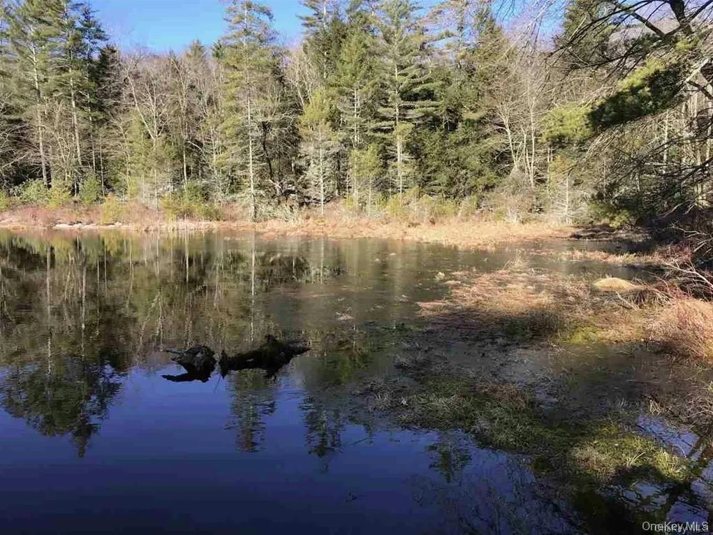 Lot 92 Mathias Weiden Drive, Tusten, NY, ,Land,For Rent,Mathias Weiden,0,000047 Lot 92 Mathias Weiden Drive, Tusten, NY, ,Land,For Rent,Mathias Weiden,0,000047