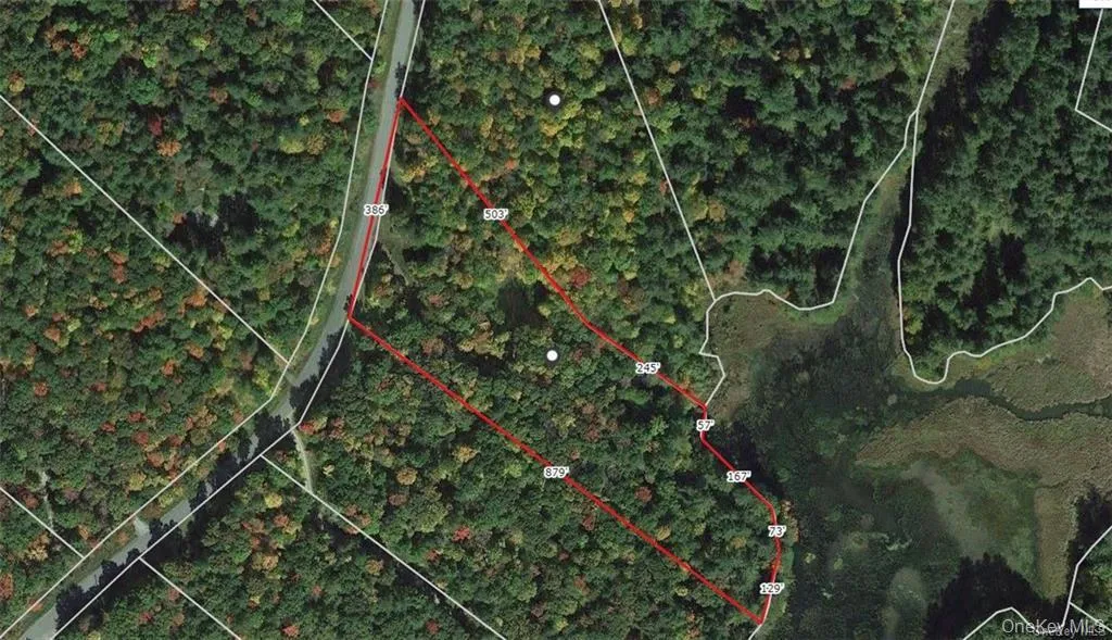 Lot 92 Mathias Weiden Drive, Tusten, NY, ,Land,For Rent,Mathias Weiden,0,000047 Lot 92 Mathias Weiden Drive, Tusten, NY, ,Land,For Rent,Mathias Weiden,0,000047