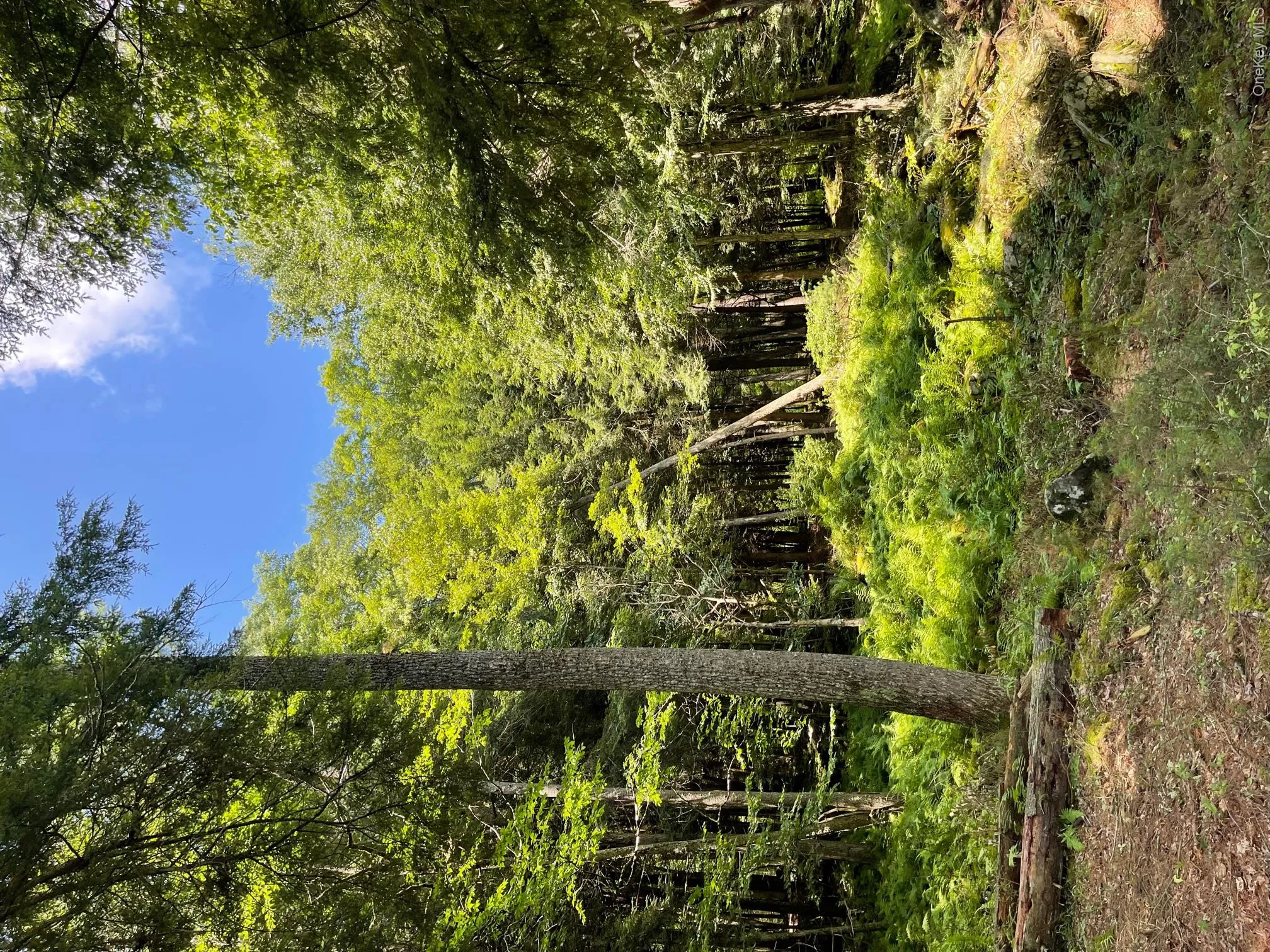 Lot 92 Mathias Weiden Drive, Tusten, NY, ,Land,For Rent,Mathias Weiden,0,000047 Lot 92 Mathias Weiden Drive, Tusten, NY, ,Land,For Rent,Mathias Weiden,0,000047