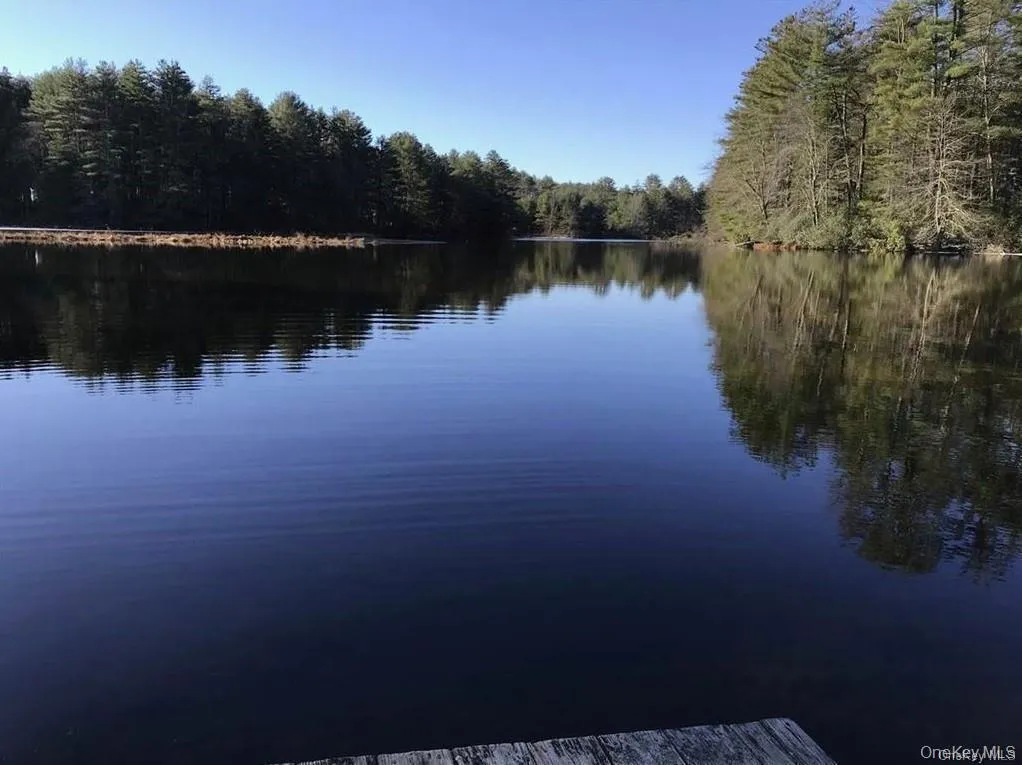Lot 92 Mathias Weiden Drive, Tusten, NY, ,Land,For Rent,Mathias Weiden,0,000047 Lot 92 Mathias Weiden Drive, Tusten, NY, ,Land,For Rent,Mathias Weiden,0,000047
