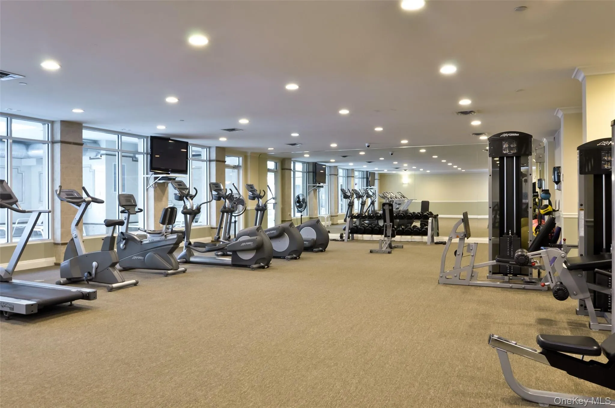 State of the art equipment, treadmills, ellipticals, free weights and machines. . State of the art equipment, treadmills, ellipticals, free weights and machines. .