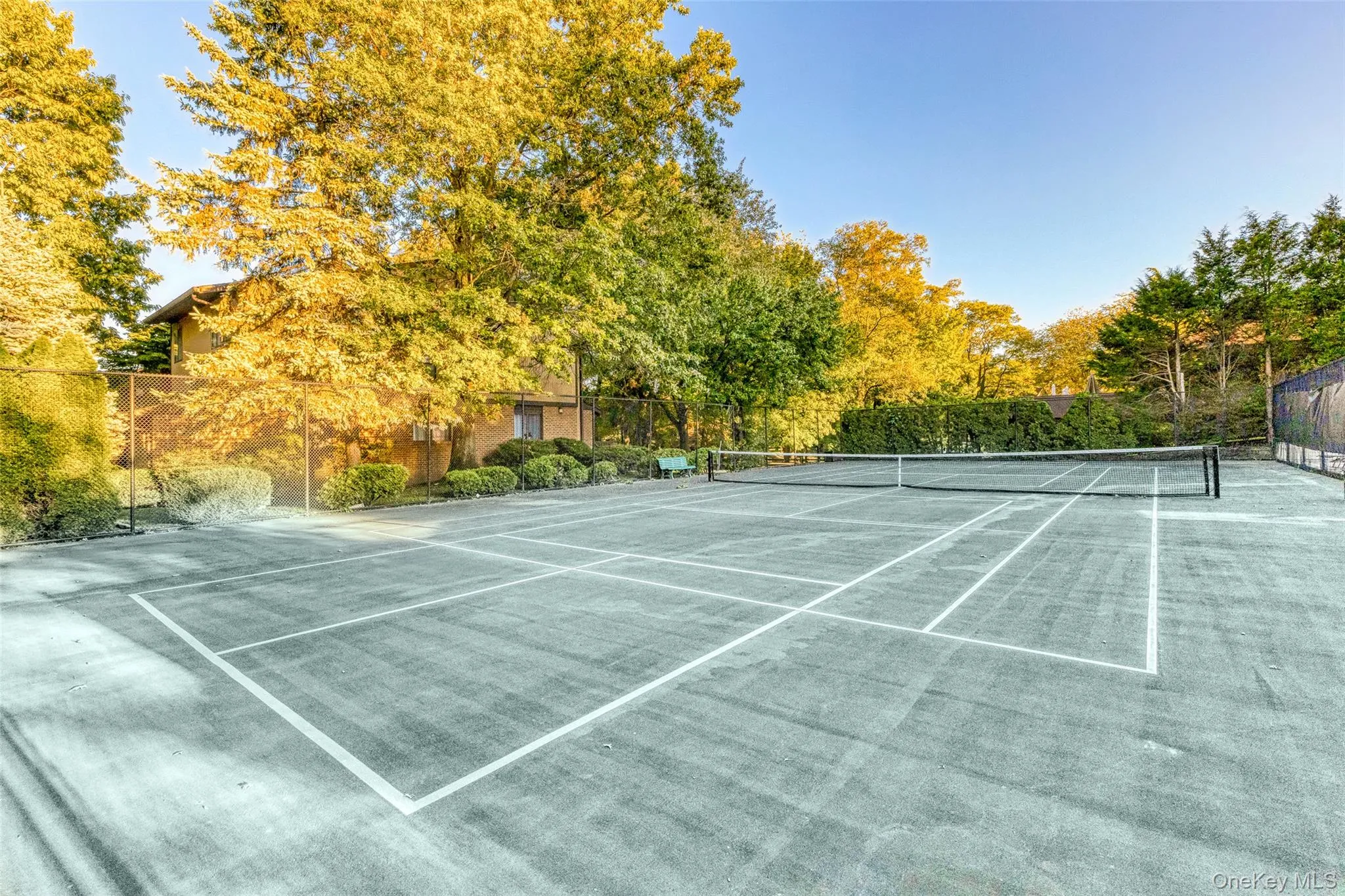 Tennis Court/Pickleball Tennis Court/Pickleball