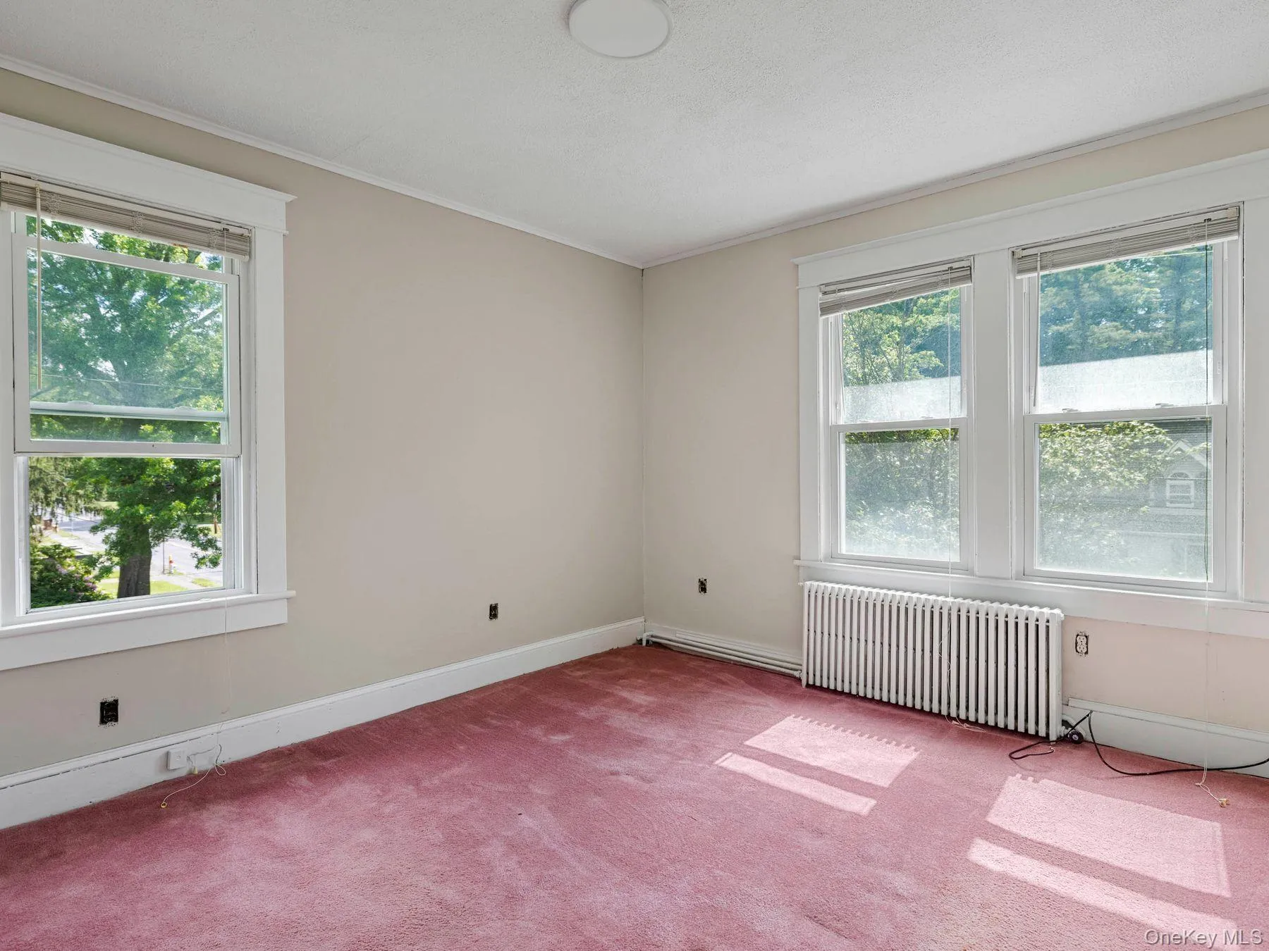 169 Chester Street, Kingston, NY, 4 Bedrooms Bedrooms, 13 Rooms Rooms,1 BathroomBathrooms,Residential,For Rent,Chester,0,000107 169 Chester Street, Kingston, NY, 4 Bedrooms Bedrooms, 13 Rooms Rooms,1 BathroomBathrooms,Residential,For Rent,Chester,0,000107