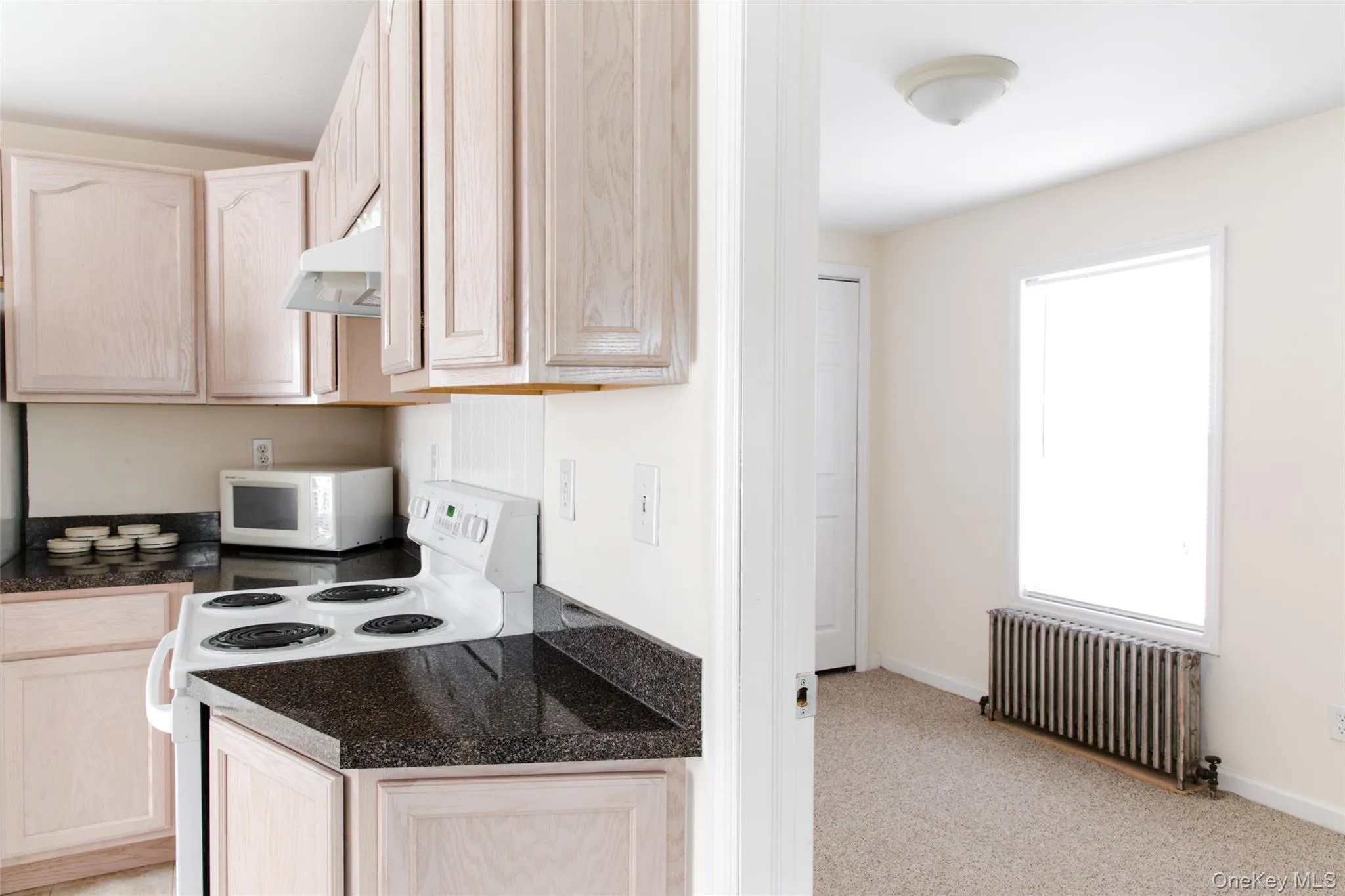 296 MAIN Street, Beacon, NY, 2 Bedrooms Bedrooms, 6 Rooms Rooms,1 BathroomBathrooms,Residential Lease,For Rent,MAIN,0,000120 296 MAIN Street, Beacon, NY, 2 Bedrooms Bedrooms, 6 Rooms Rooms,1 BathroomBathrooms,Residential Lease,For Rent,MAIN,0,000120