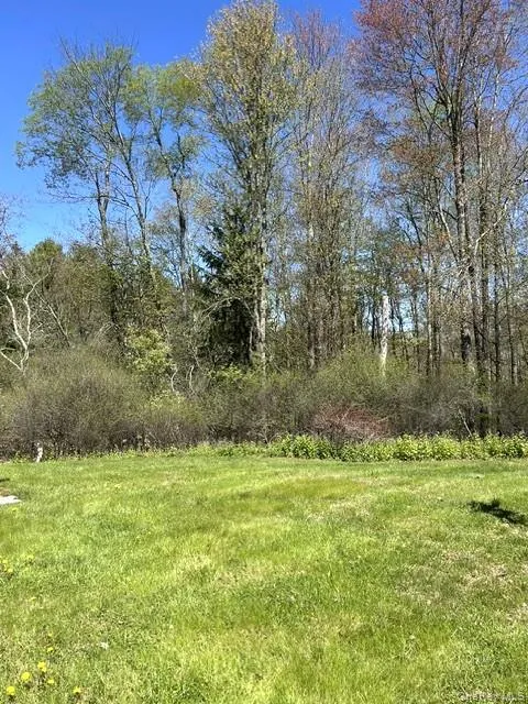 Back Yard Back Yard