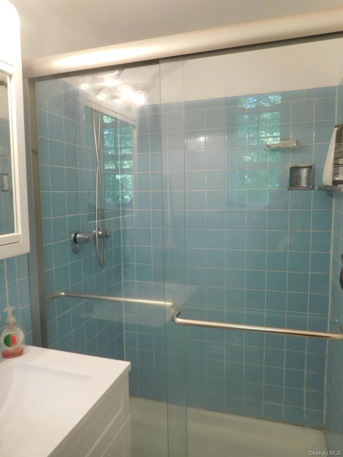 Primary Bath w/new Shower Doors Primary Bath w/new Shower Doors