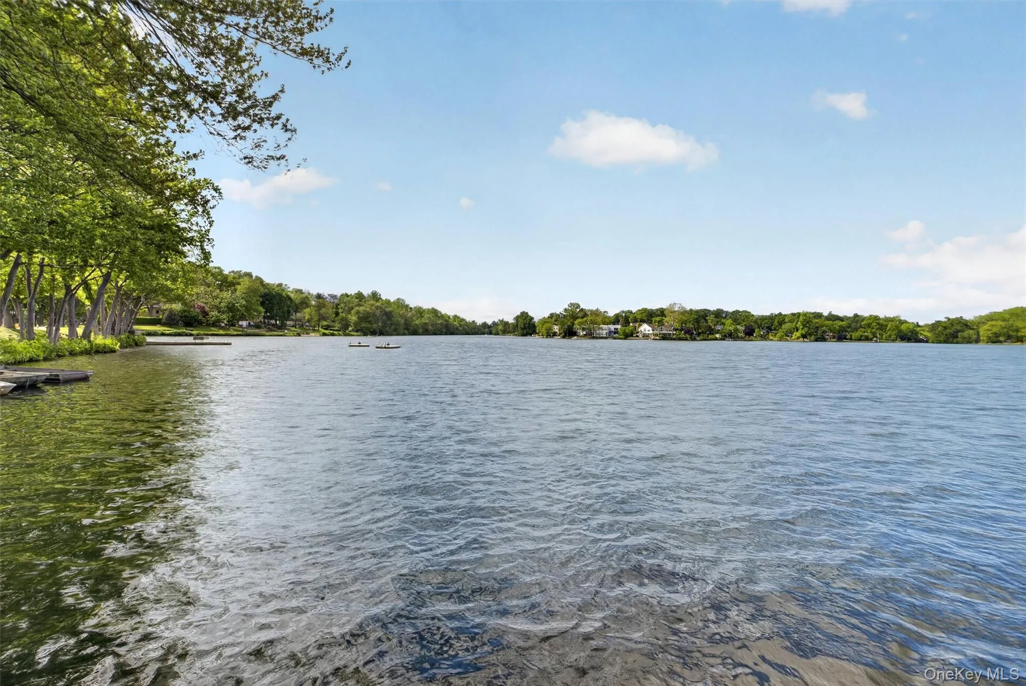 Peaceful Lake views Peaceful Lake views